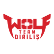 Gaming in Turkey - Wolfteam Logo