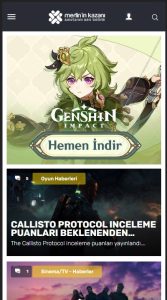 Genshin Impact Website Branding